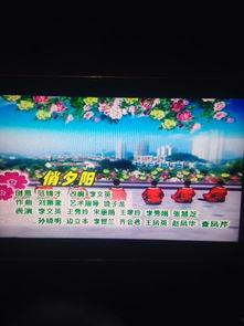 俏夕阳背景音乐,俏夕阳背景音乐赏析